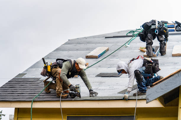 Professional Storm Damage Roof Repair technician working in Keene, TX